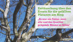 Platane vor blauem Himmel.