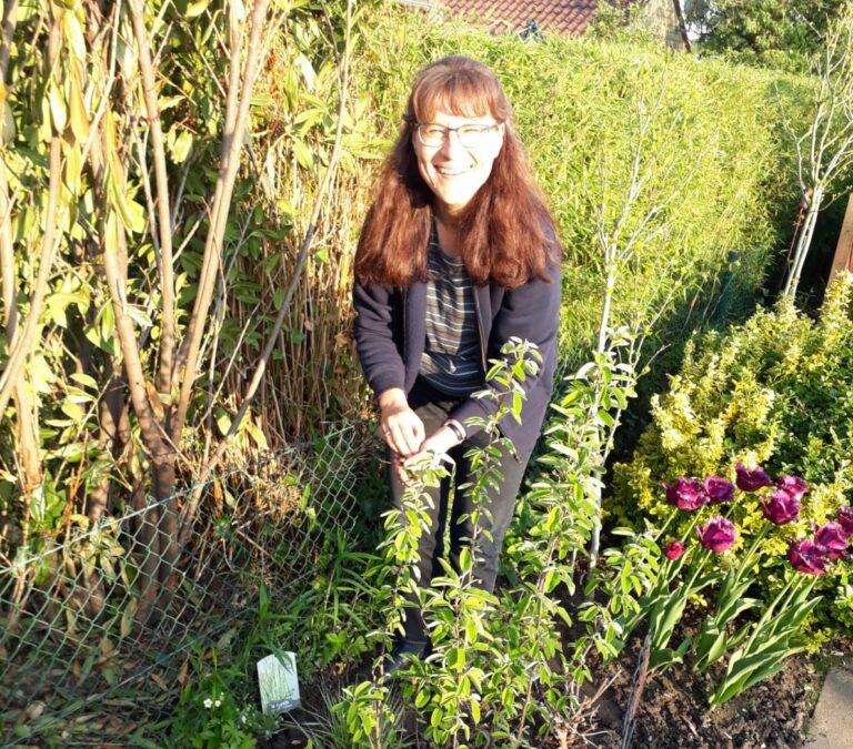 Kleingärten erhalten!