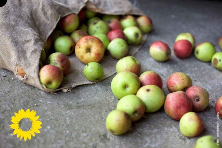 Ein grauer Sack liegt auf dem Boden, daraus sind grüne und rote Äpfel gefallen.